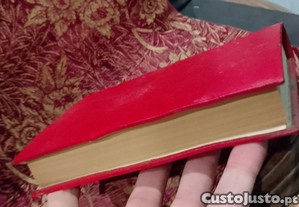 imagem_6