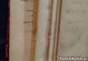 imagem_7
