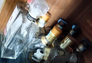 imagem_3