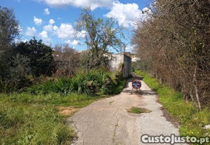 imagem_3