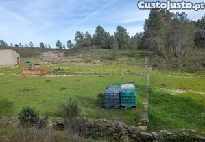 Terreno rstico, Salgueiro do Campo, Castelo Branco