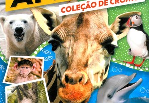 imagem_4