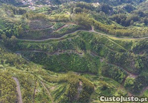 Terreno de 120.000m com Potencial Agrcola - Campanrio