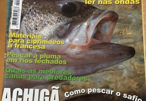 imagem_7