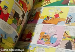 imagem_6