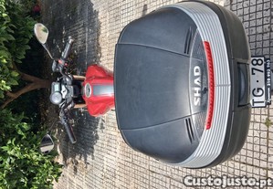 imagem_11