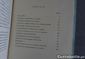 imagem_8