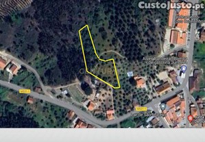 imagem_1