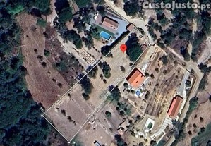 imagem_1