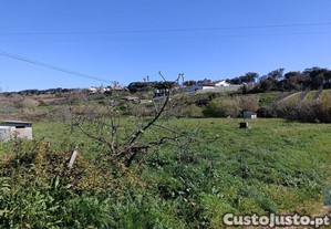 Terreno em Cela de 1585,00 m²