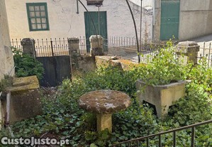 imagem_18