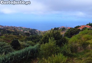 Terreno Rstico nas Faias, Arco da Calheta - Oportunidade nica!