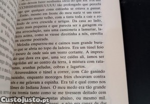 imagem_6