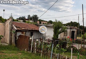 imagem_11