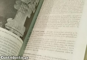 imagem_9