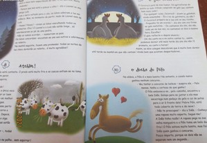 imagem_2