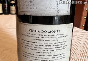imagem_5