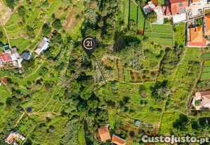imagem_1