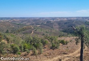 Terreno de 11H - Santana da Serra - Dispon�vel