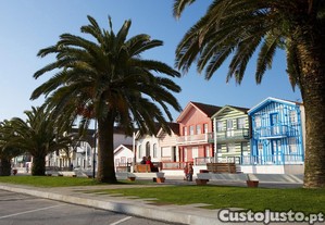 imagem_8