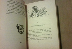 imagem_8