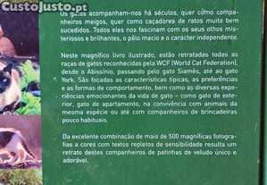 imagem_8