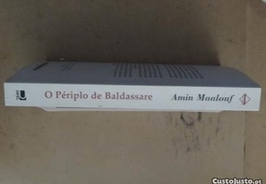 imagem_3