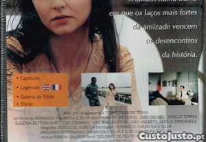 imagem_6