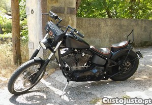 Harley Davidson Softail
