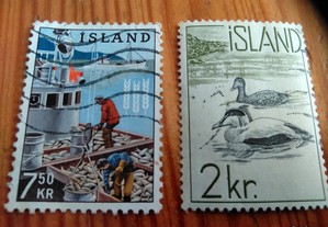 Selos da Islandia
