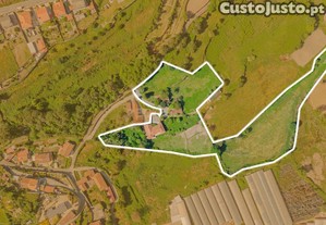 Quinta Histrica   Antiga Casa de Frias do Presidente Tefilo Braga