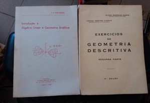 Obras de F.R. Dias Agudo e Álvaro Rodrigues