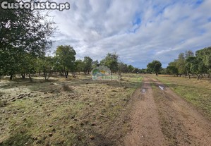 Herdade dos Sobreiros - Alentejo