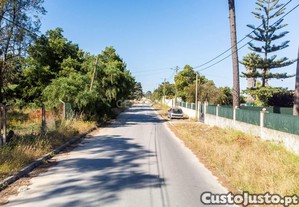 Terreno em Pinhal de Frades