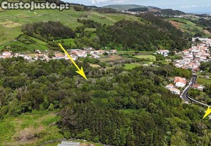 Terreno Urbanizvel de 13283 m com rvores em Terra-Ch, Angra do Herosmo.
