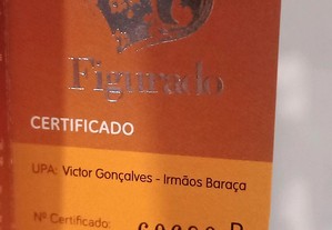 imagem_6