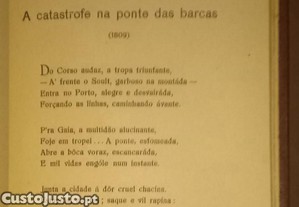 imagem_7