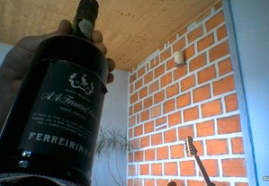 imagem_6