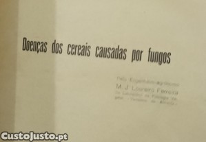 imagem_8