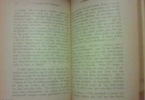 imagem_8