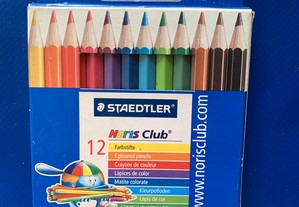 12 lápis de cor
