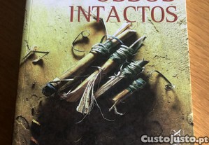 imagem_1