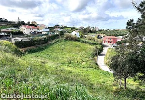 imagem_1