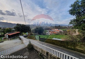 imagem_21