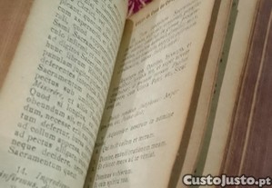 imagem_3