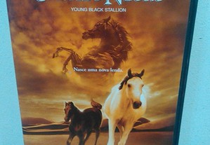 O Jovem Cavalo Negro (2003) Willam Ross