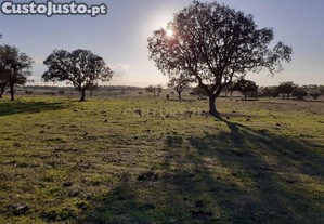 Baldio do Peral e Courela das Caldeiras - Cabea de Carneiro