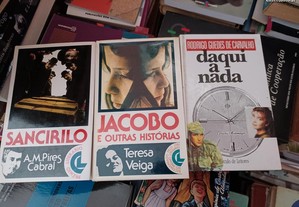 imagem_8
