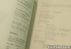imagem_25