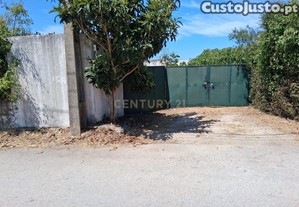 imagem_1